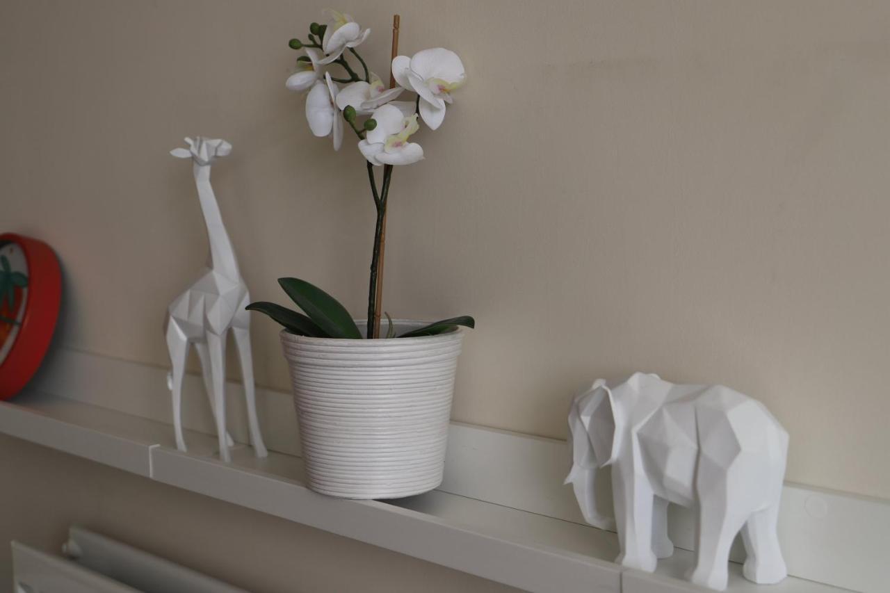 Birmingham Fiveways Garden View Apartment Luaran gambar